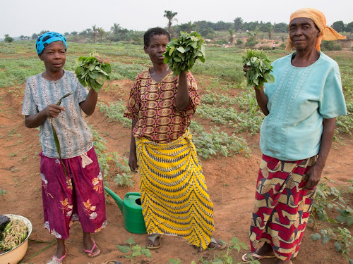 08 mars : Antonio Guterres salue les accomplissements des femmes à travers le monde