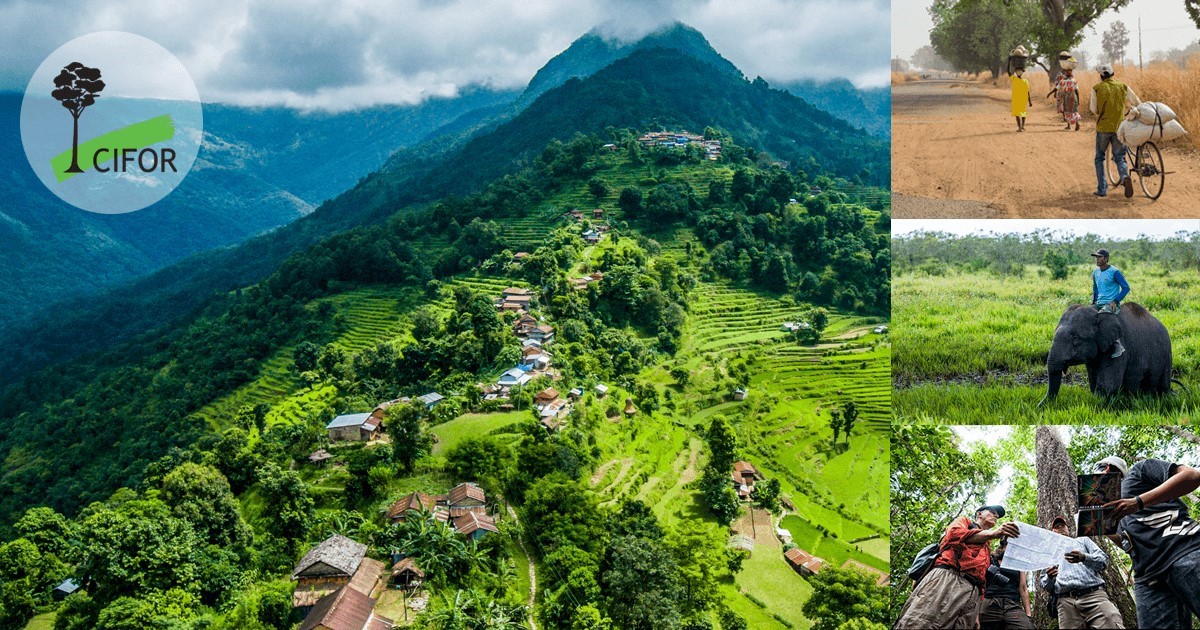 Le CIFOR a déjà restauré 1,2 million d’hectares de terres dégradées*