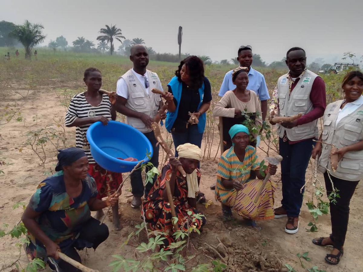 Kasaï-Central : 500 ménages retournés d’Angola récoltent leurs cultures de manioc